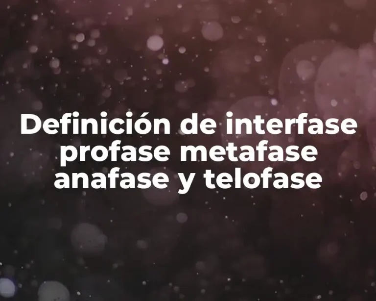 Definición de interfase profase metafase anafase y telofase
