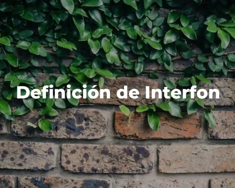 Definición de Interfon