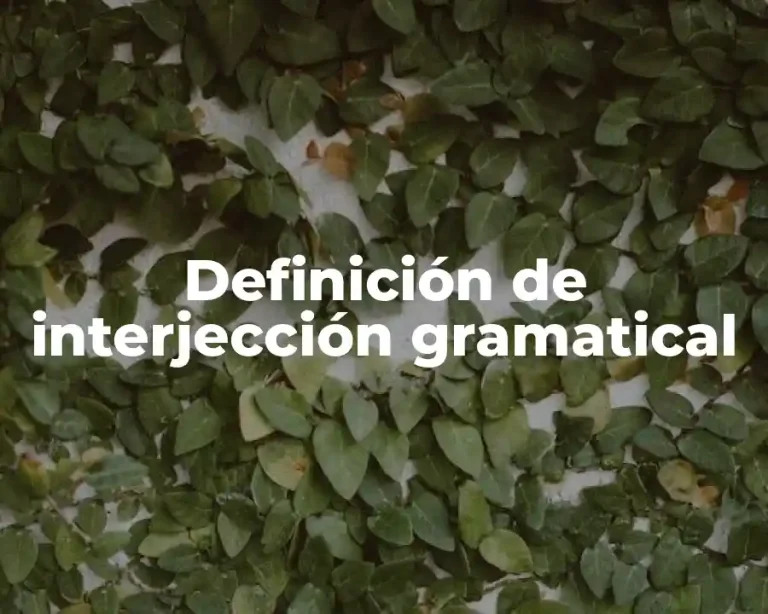 Definición de interjección gramatical