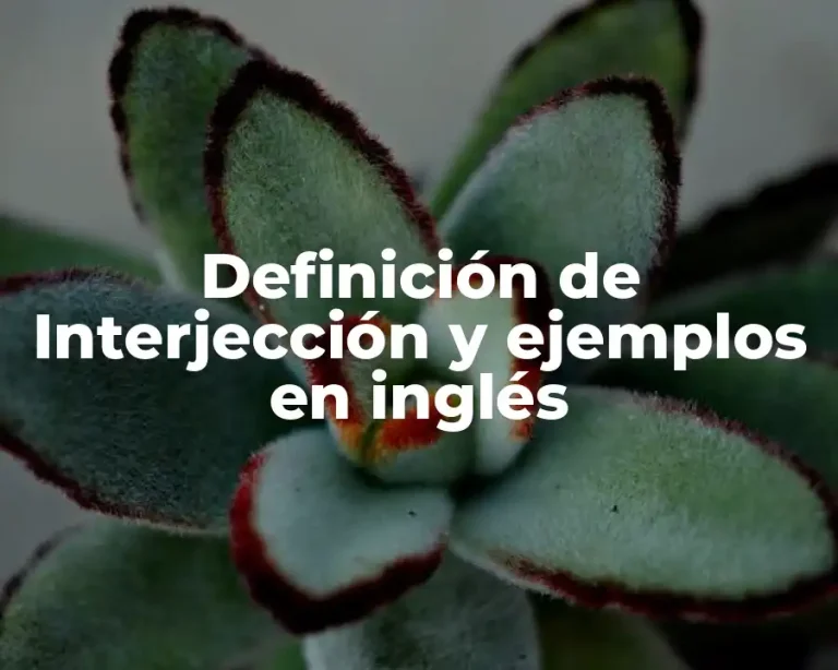 Definición de Interjección y ejemplos en inglés