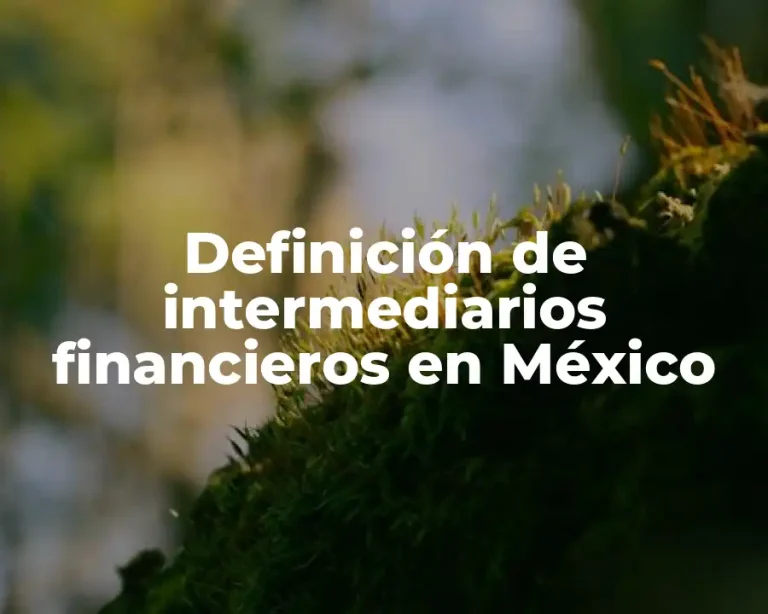 Definición de intermediarios financieros en México