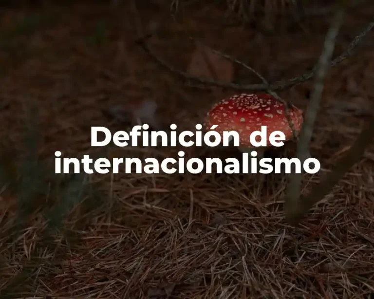 Definición de internacionalismo
