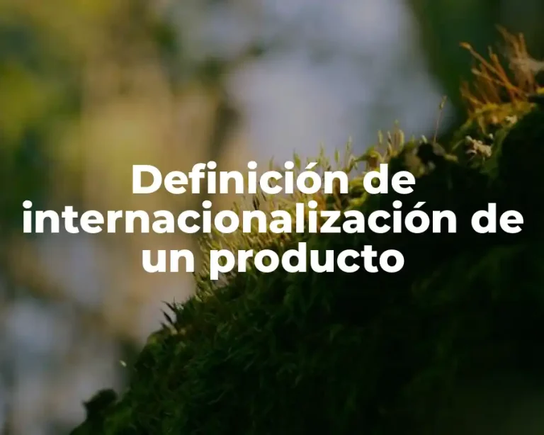 Definición de internacionalización de un producto