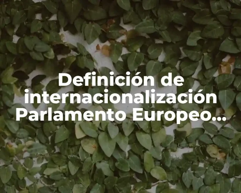 Definición de internacionalización Parlamento Europeo Hans de Wit