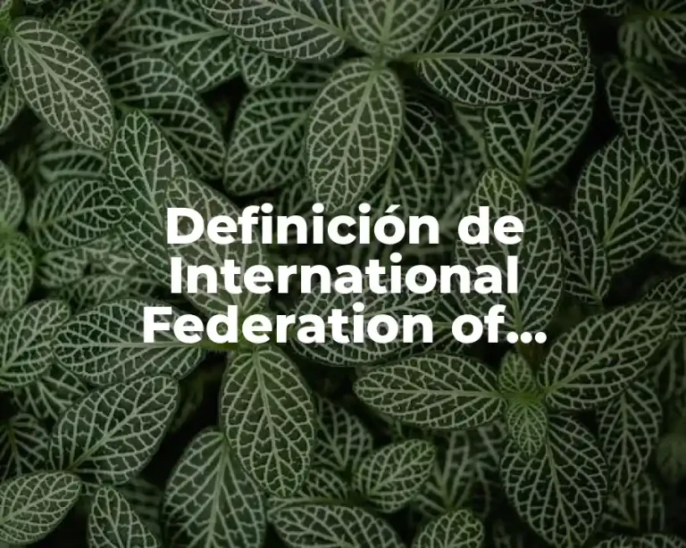 Definición de International Federation of Accountants (IFAC)