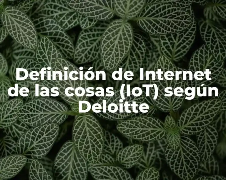 Definición de Internet de las cosas (IoT) según Deloitte