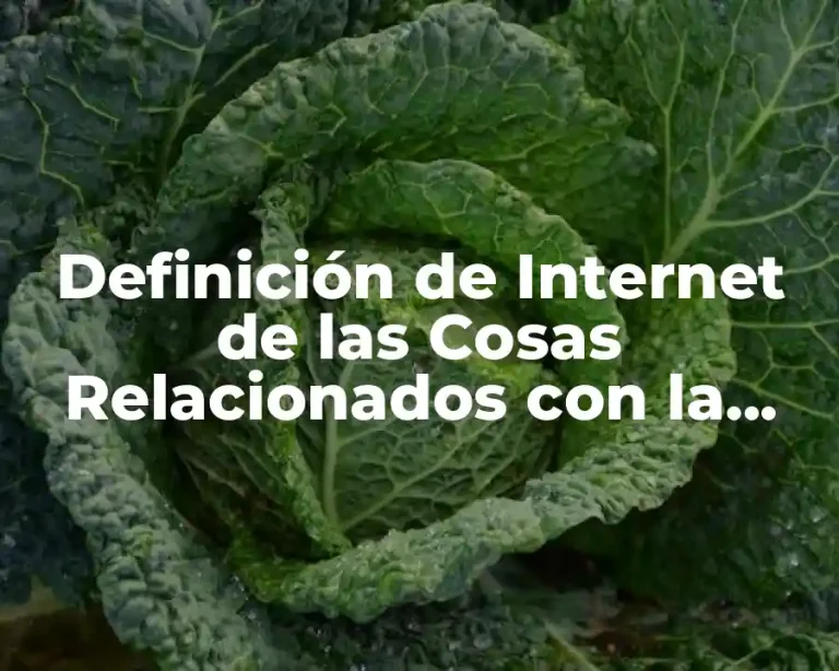 Definición de Internet de las Cosas Relacionados con la Salud