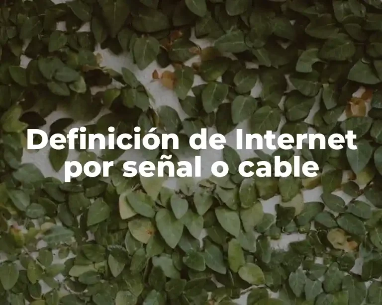 Definición de Internet por señal o cable