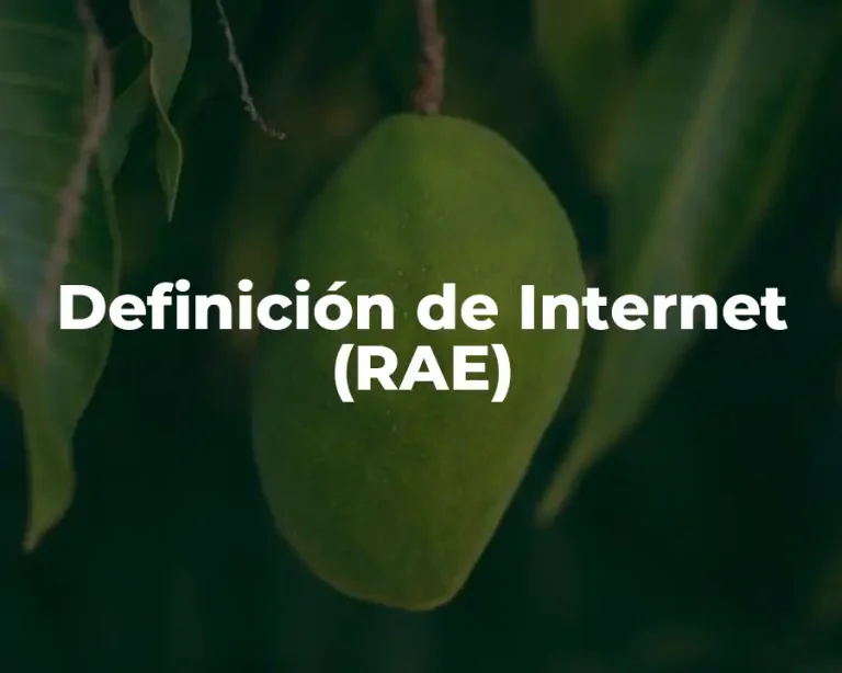 Definición de Internet (RAE)