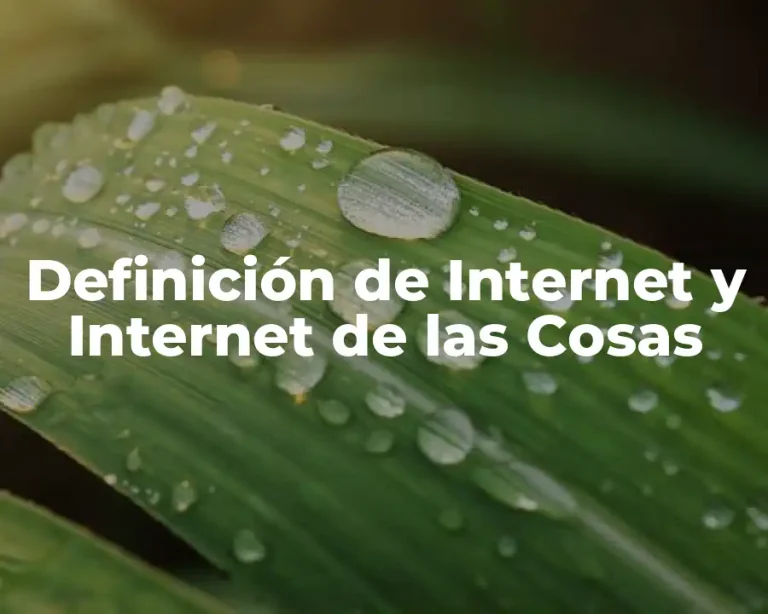 Definición de Internet y Internet de las Cosas