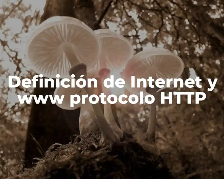 Definición de Internet y www protocolo HTTP