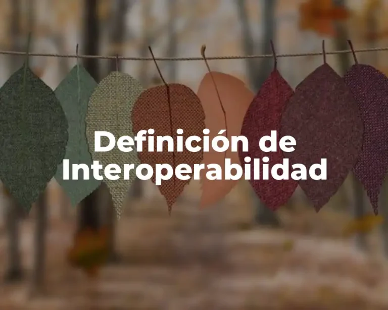 Definición de Interoperabilidad