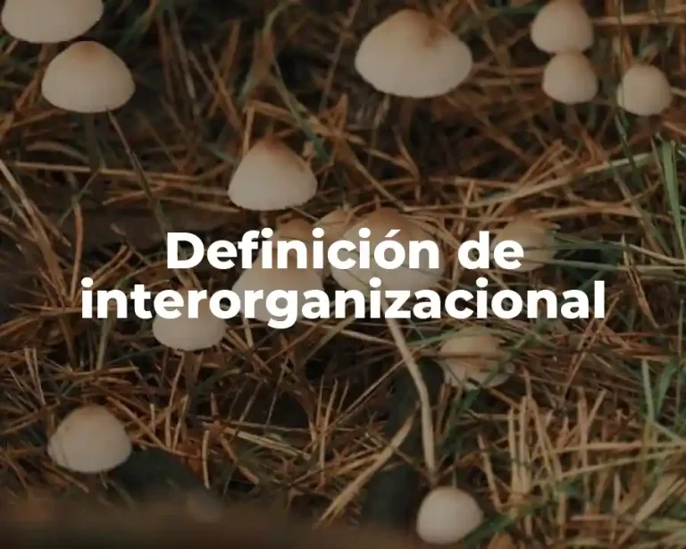 Definición de interorganizacional
