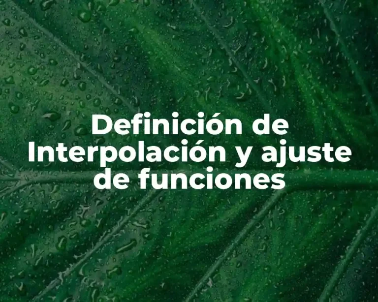 Definición de Interpolación y ajuste de funciones