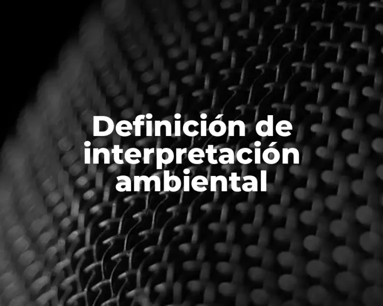 Definición de interpretación ambiental