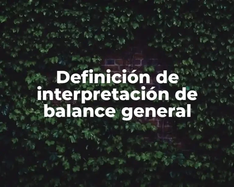 Definición de interpretación de balance general