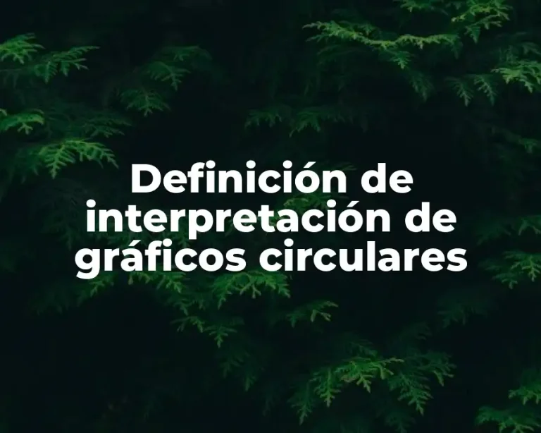 Definición de interpretación de gráficos circulares