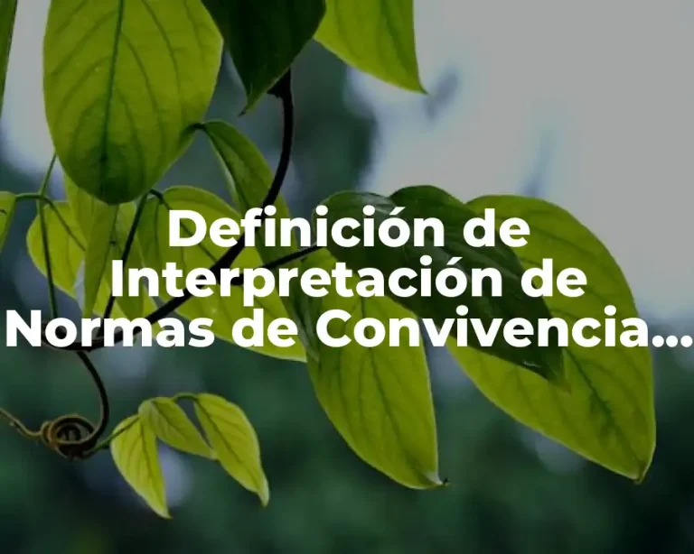 Definición de Interpretación de Normas de Convivencia Social