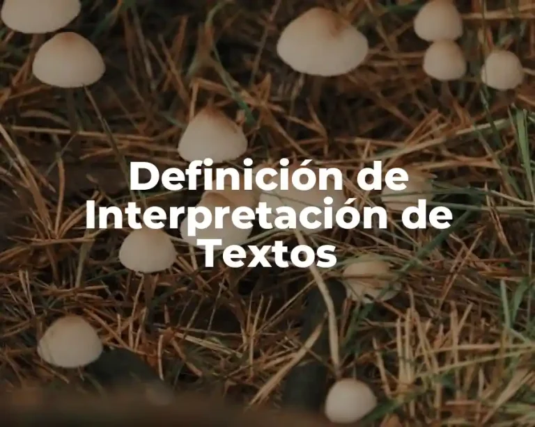 Definición de Interpretación de Textos