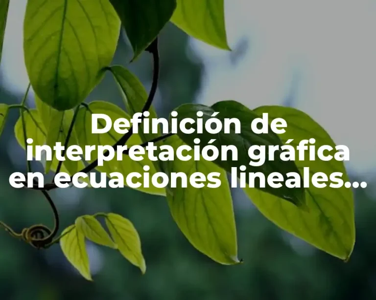 Definición de interpretación gráfica en ecuaciones lineales 3