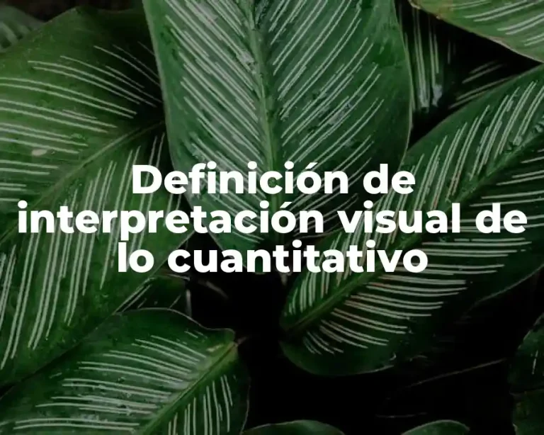 Definición de interpretación visual de lo cuantitativo