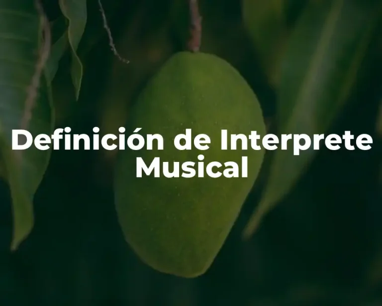 Definición de Interprete Musical