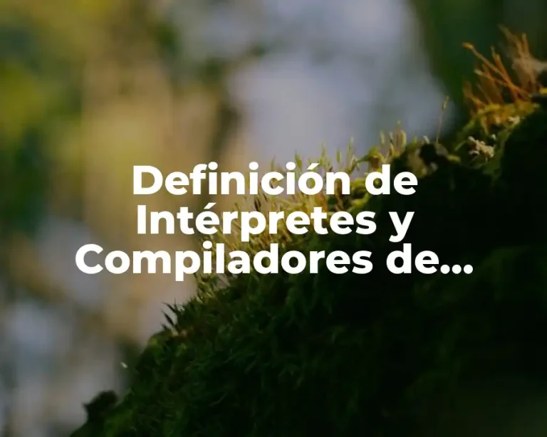 Definición de Intérpretes y Compiladores de Programación