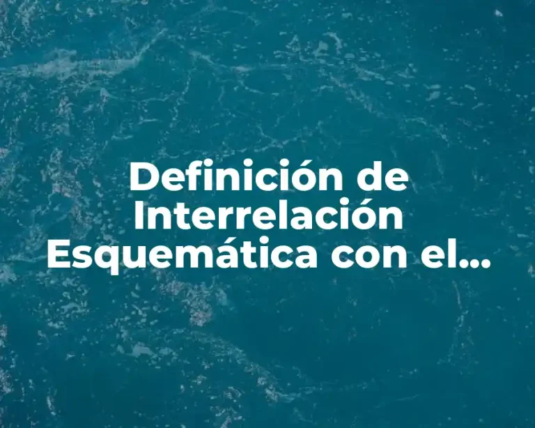 Definición de Interrelación Esquemática con el Concepto de Desarrollo