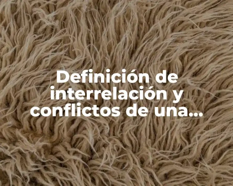 Definición de interrelación y conflictos de una empresa