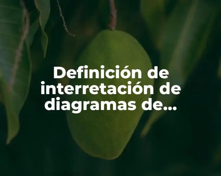 Definición de interretación de diagramas de ingeniería química