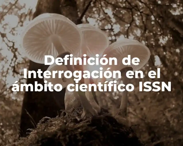 Definición de Interrogación en el ámbito científico ISSN