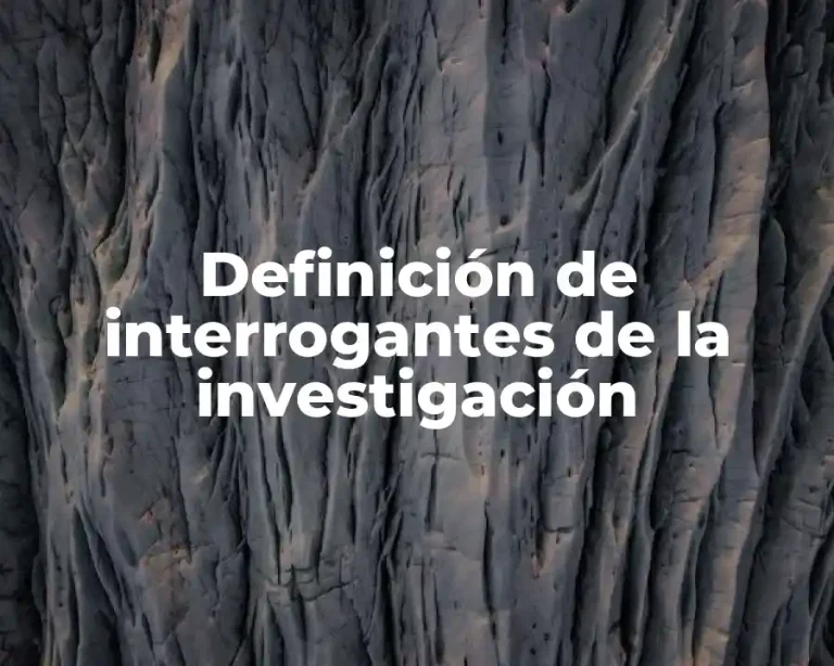 Definición de interrogantes de la investigación