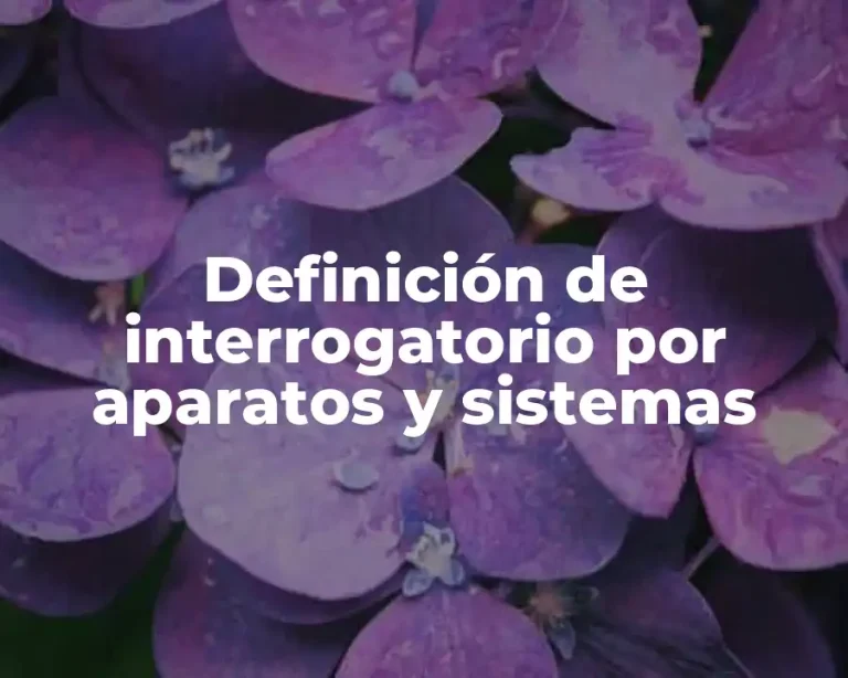 Definición de interrogatorio por aparatos y sistemas