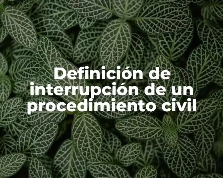 Definición de interrupción de un procedimiento civil