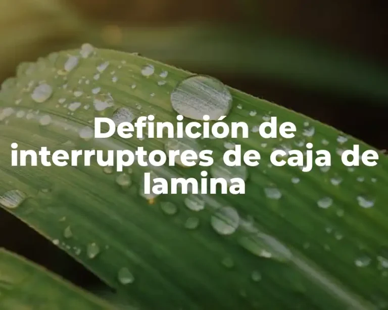 Definición de interruptores de caja de lamina