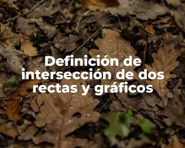 Definición de intersección de dos rectas y gráficos