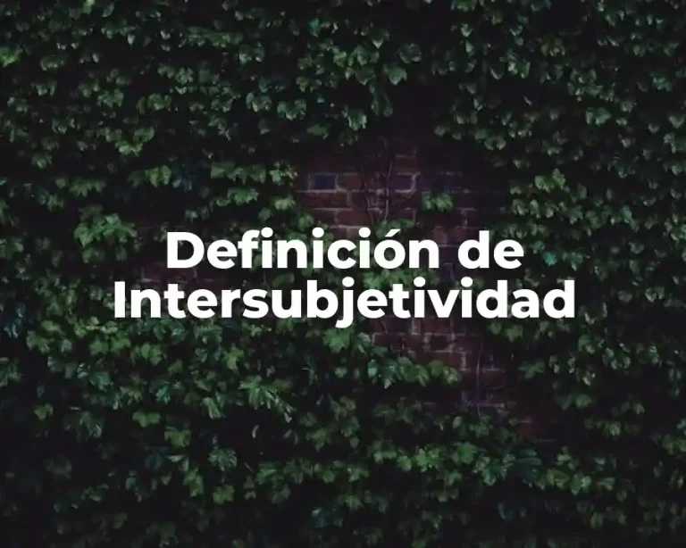 Definición de Intersubjetividad