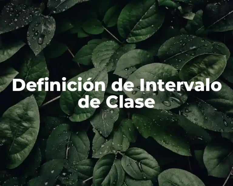 Definición de Intervalo de Clase