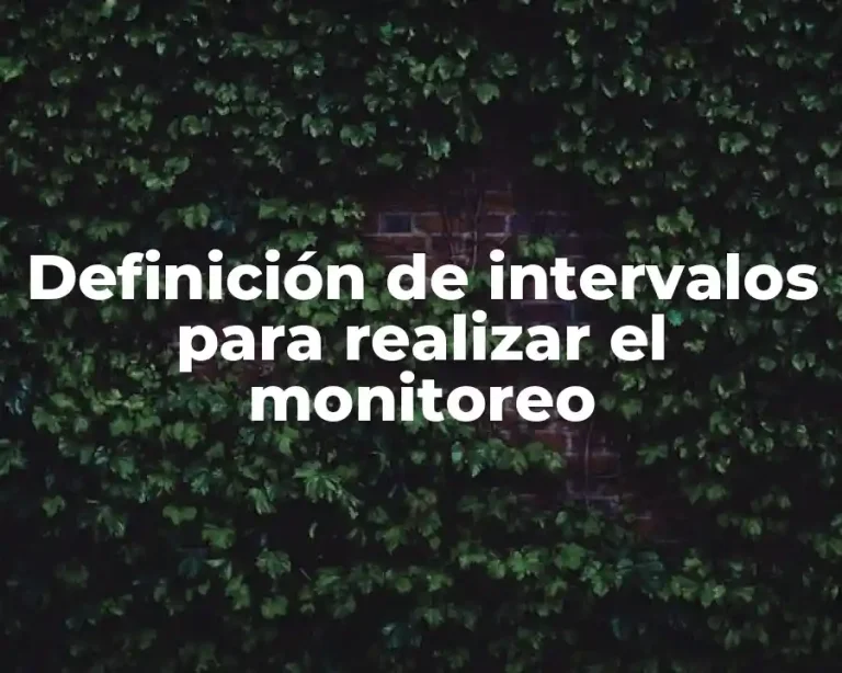 Definición de intervalos para realizar el monitoreo