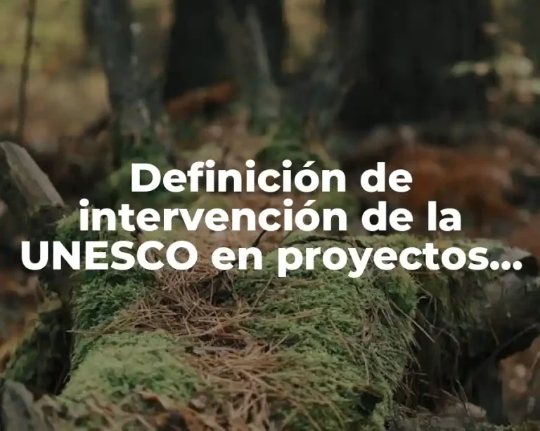Definición de intervención de la UNESCO en proyectos de México