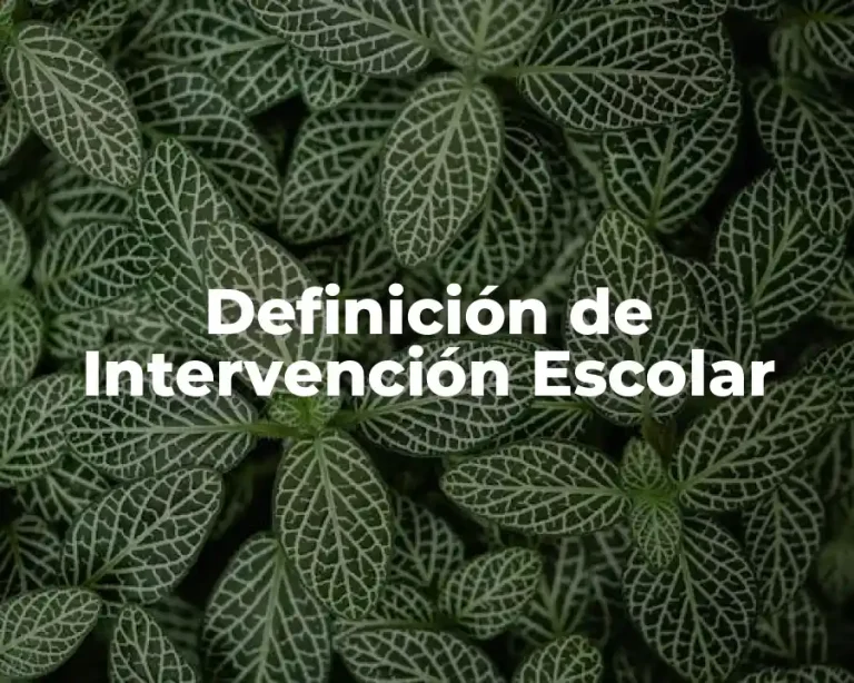 Definición de Intervención Escolar