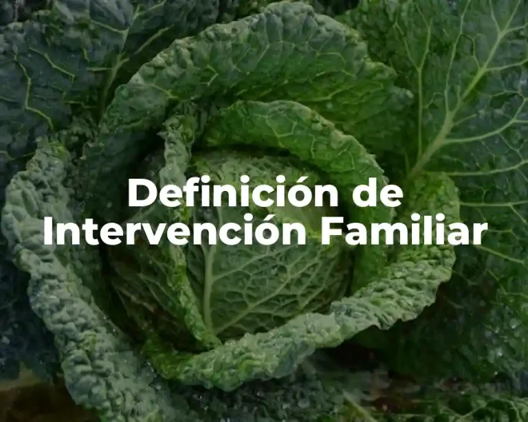 Definición de Intervención Familiar