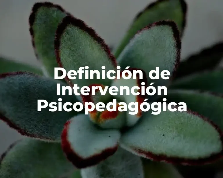 Definición de Intervención Psicopedagógica