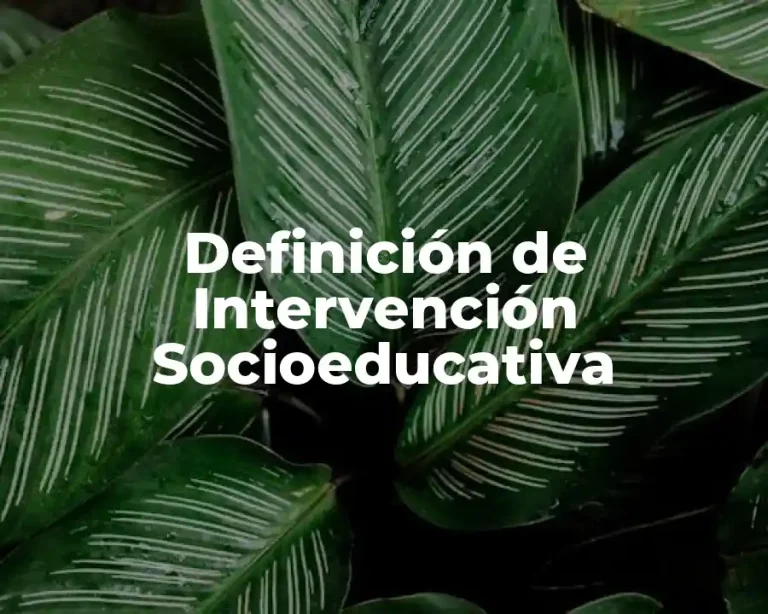 Definición de Intervención Socioeducativa