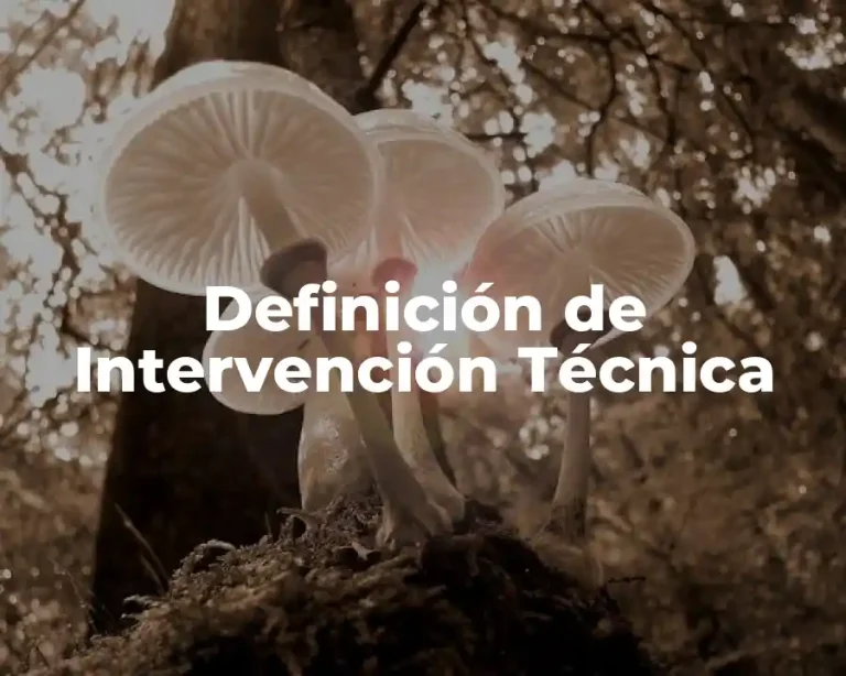 Definición de Intervención Técnica