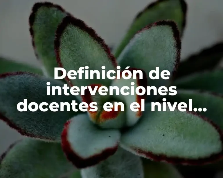 Definición de intervenciones docentes en el nivel inicial