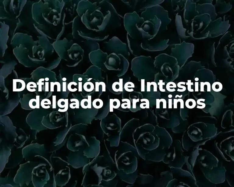 Definición de Intestino delgado para niños