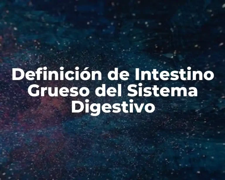 Definición de Intestino Grueso del Sistema Digestivo