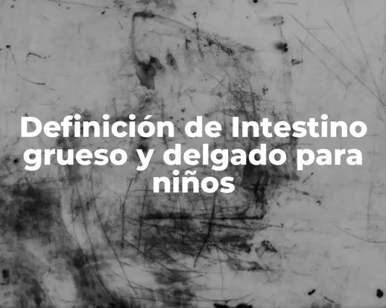 Definición de Intestino grueso y delgado para niños