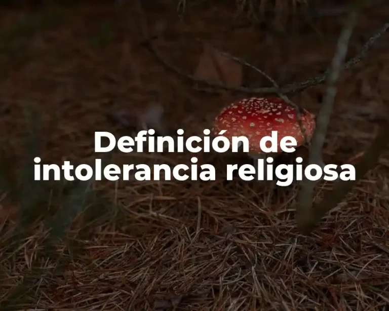 Definición de intolerancia religiosa